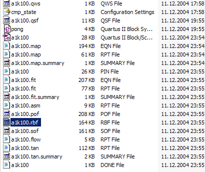 raw binary file